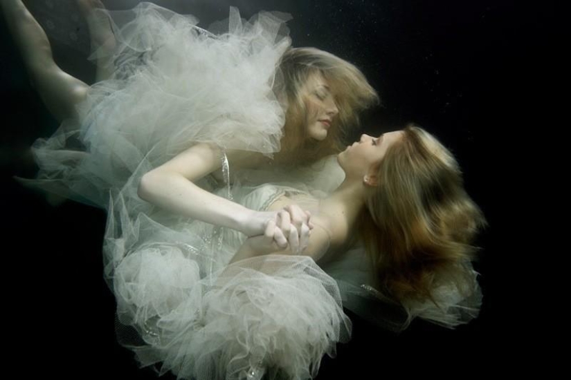 Proyecto "¿Quién soy yo?" por Scott Rea