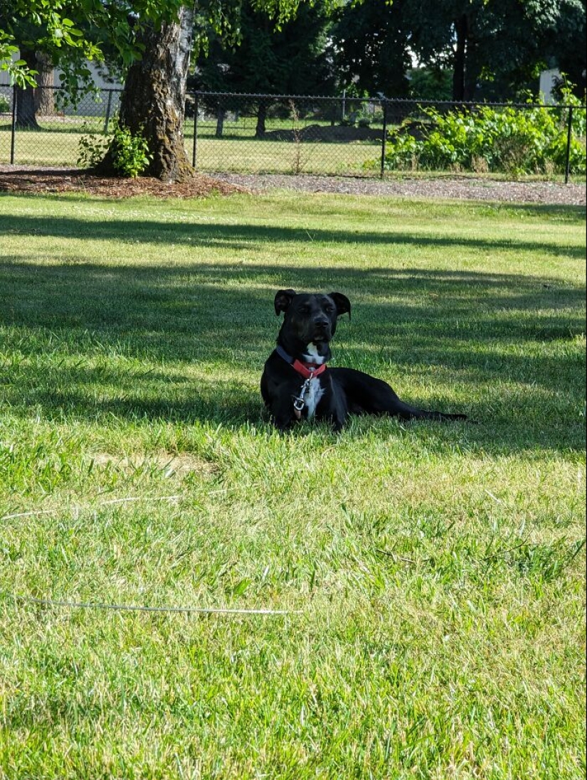 Publica una foto de tu cosa favorita relacionada con el verano (Parte 2)