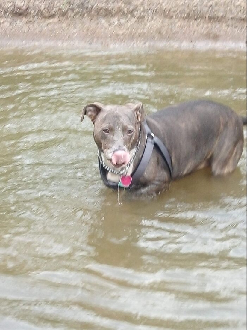 Publica una foto de tu cosa favorita relacionada con el verano