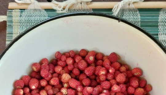 Publica una foto de tu cosa favorita relacionada con el verano (Parte 2)