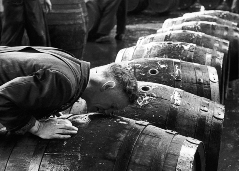 Publicación de amor por la cerveza: cómo se elaboró la verdadera Guinness