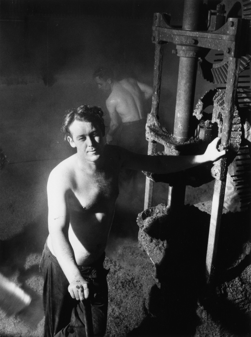 Publicación de amor por la cerveza: cómo se elaboró la verdadera Guinness