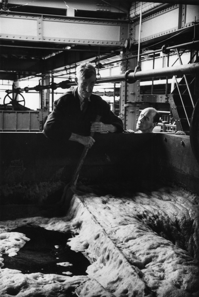 Publicación de amor por la cerveza: cómo se elaboró la verdadera Guinness