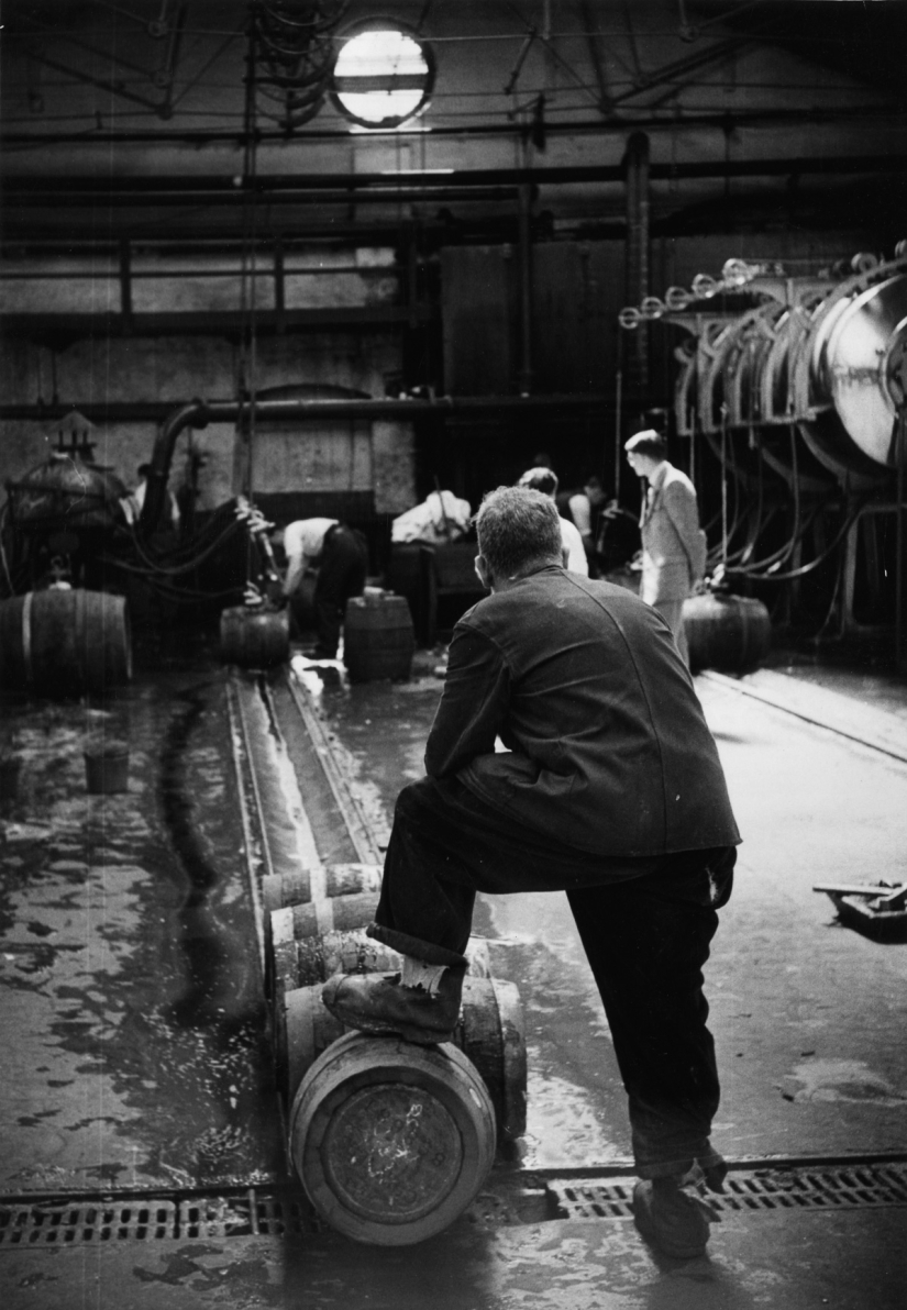 Publicación de amor por la cerveza: cómo se elaboró la verdadera Guinness