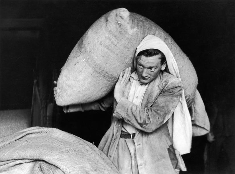 Publicación de amor por la cerveza: cómo se elaboró la verdadera Guinness