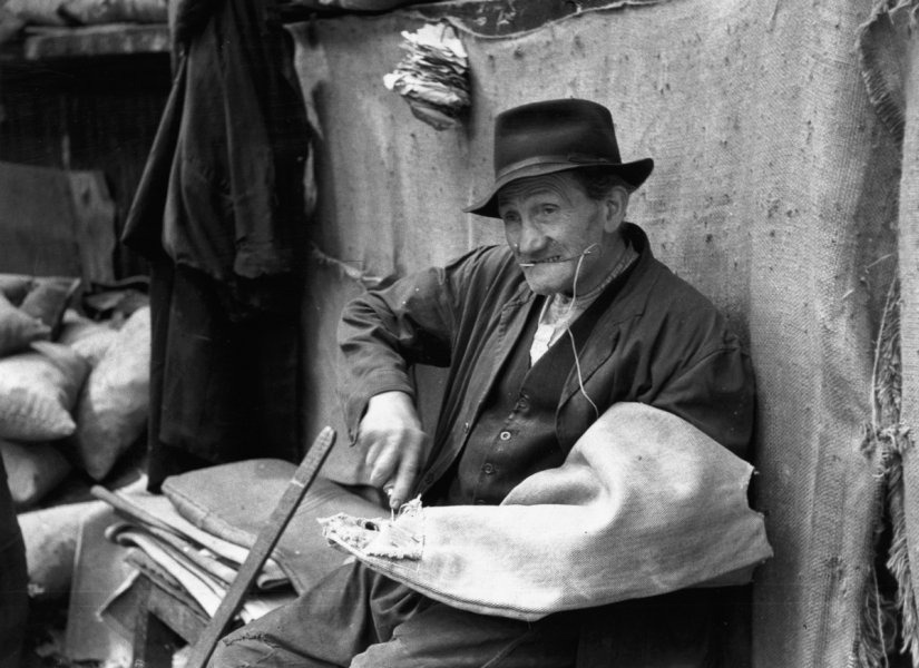 Publicación de amor por la cerveza: cómo se elaboró la verdadera Guinness