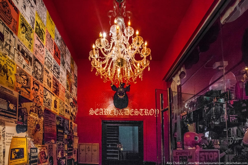 Punks of New York against Putin Punks of New York against Putin