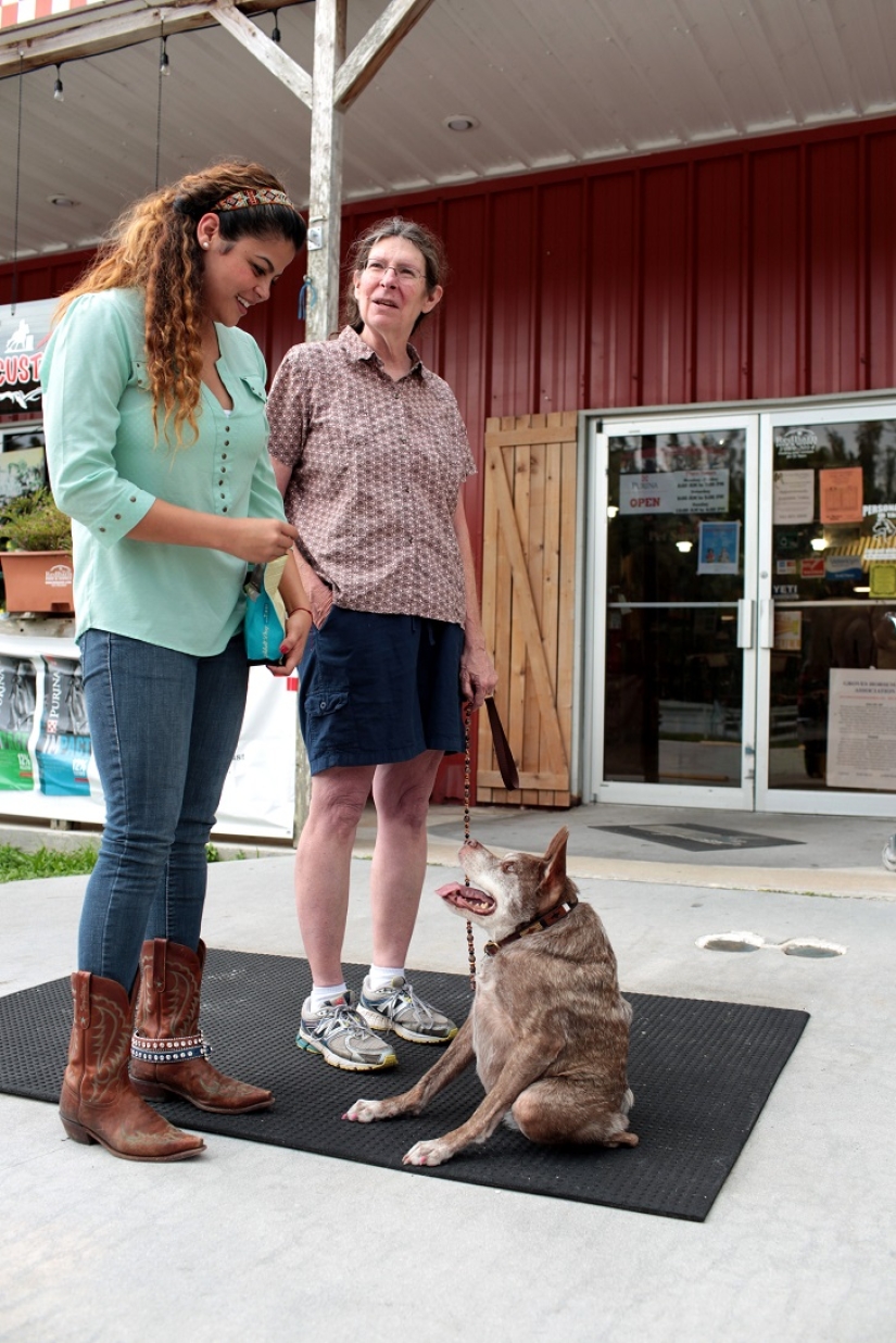 Quasimodo, el perro más feo del mundo