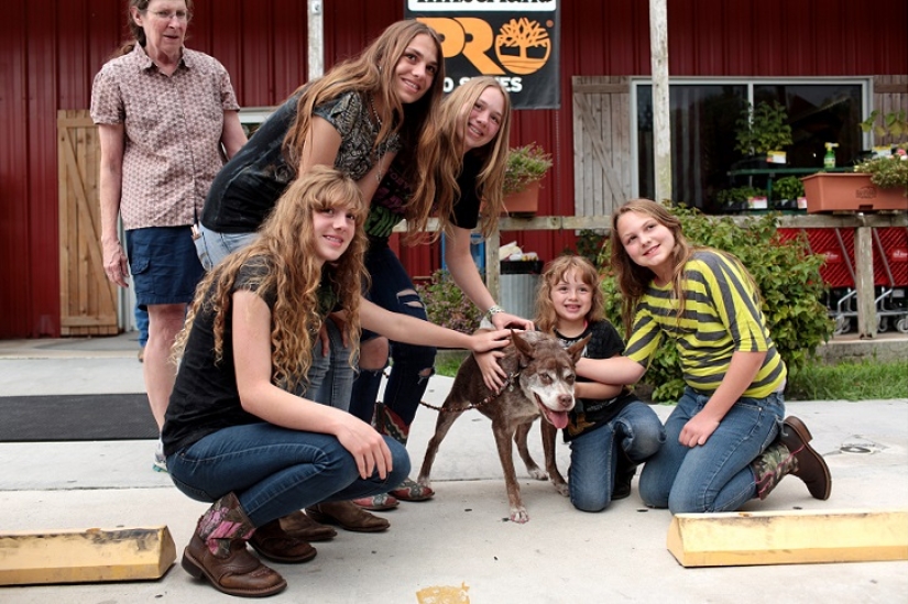 Quasimodo, el perro más feo del mundo