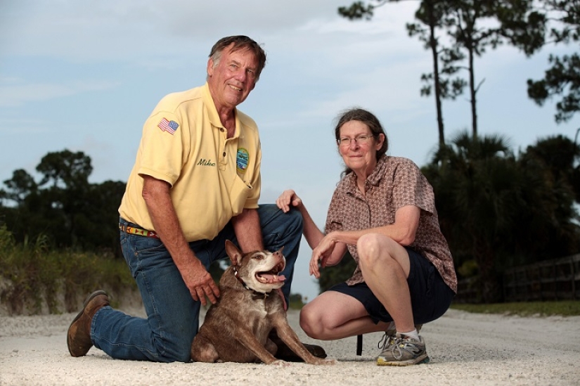 Quasimodo, the ugliest dog in the world Quasimodo, the ugliest dog in the world