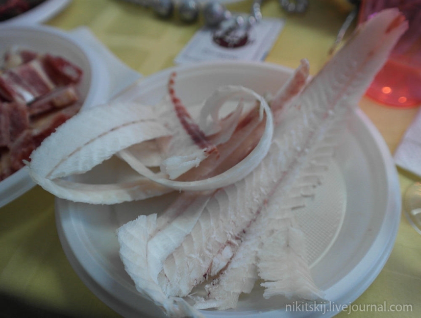 ¿Qué es la verdadera stroganina Yakut?