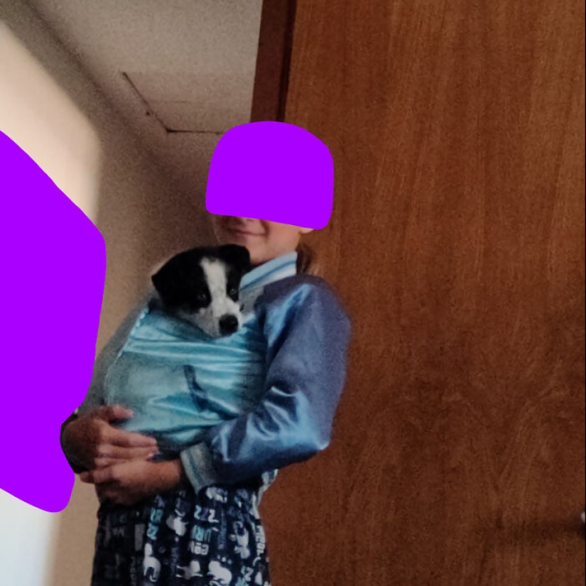 ¿Qué es una cosita rara que has encontrado? ¿Qué es una cosita rara que has encontrado?