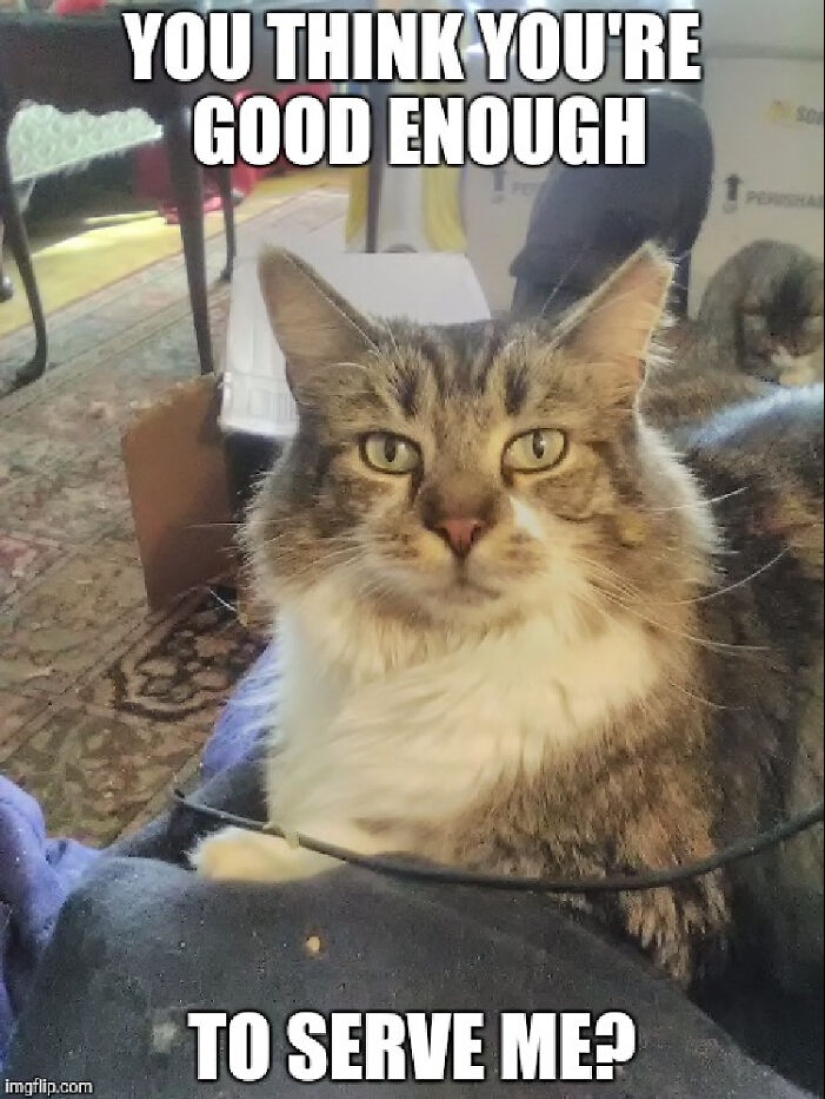 ¿Qué es una cosita rara que has encontrado? ¿Qué es una cosita rara que has encontrado?