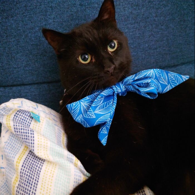 ¿Qué es una cosita rara que has encontrado? ¿Qué es una cosita rara que has encontrado?