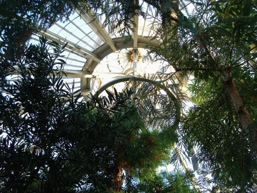 Qué hacer en Copenhague Qué hacer en Copenhague