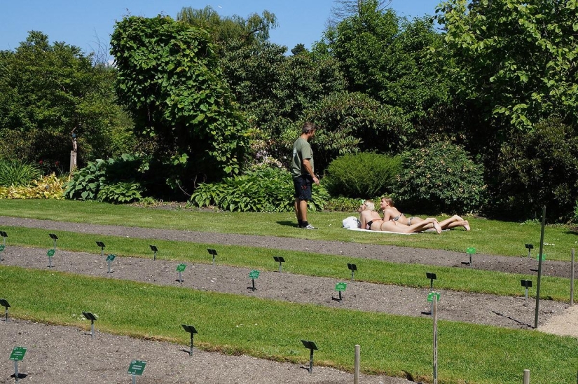 Qué hacer en Copenhague Qué hacer en Copenhague