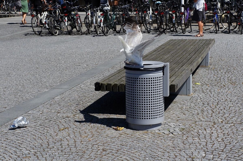 Qué hacer en Copenhague Qué hacer en Copenhague