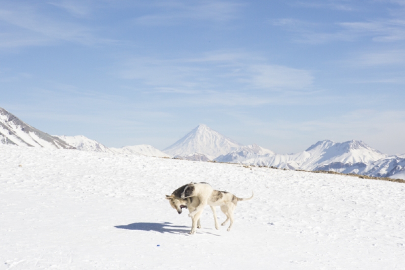 Qué sucede en las estaciones de esquí de Irán Qué sucede en las estaciones de esquí de Irán