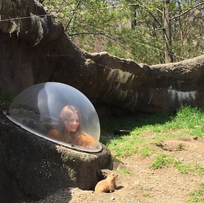 ¿Quién dijo que las modelos no tienen sentido del humor? Divertida Instagram Tilda Lindstam ¿Quién dijo que las modelos no tienen sentido del humor? Divertida Instagram Tilda Lindstam