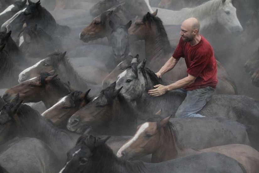 Rapa das Bestas Festival Rapa das Bestas Festival