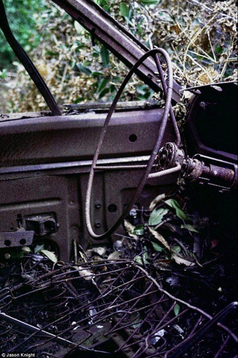 Rare cars on the bluffs of Mulholland Drive