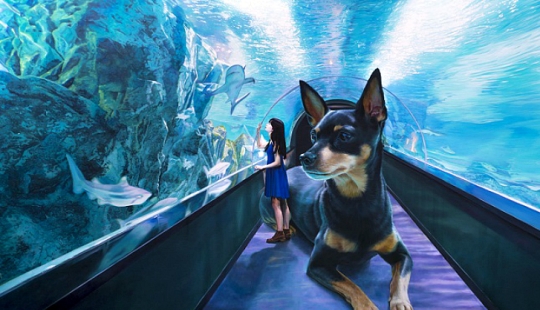 Realistic drawings of a giant dog and a cute Korean girl