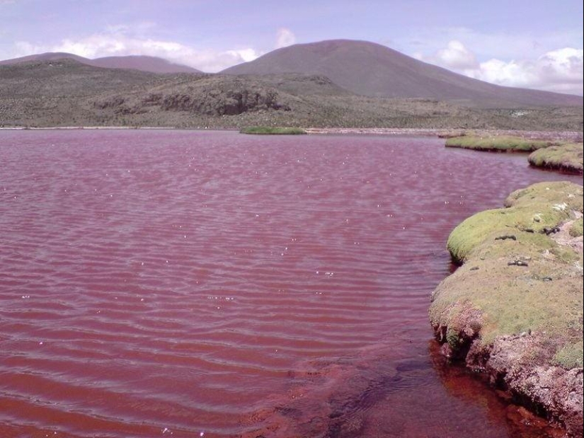 Red Lagoon in Chile Red Lagoon in Chile