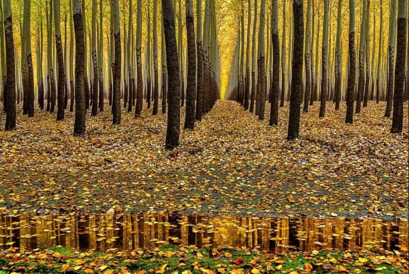 Reflections in landscapes and more