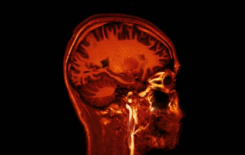 Refutation of the famous "scientific facts"