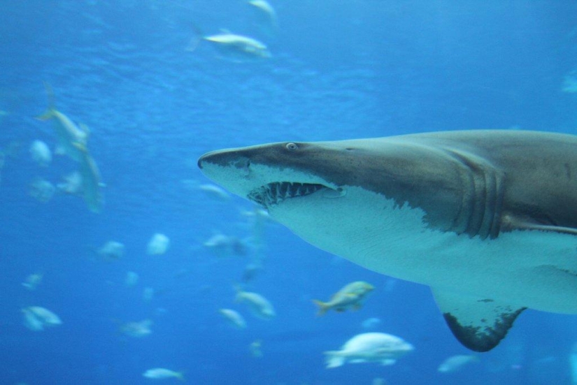 Refutation of the famous "scientific facts"