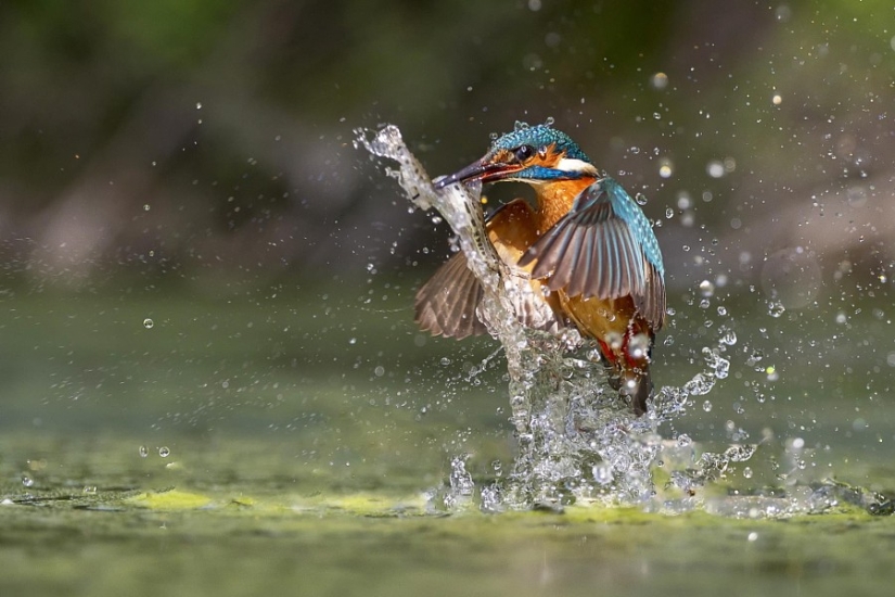 Regla de los tercios: 21 fotos con gran composición Regla de los tercios: 21 fotos con gran composición