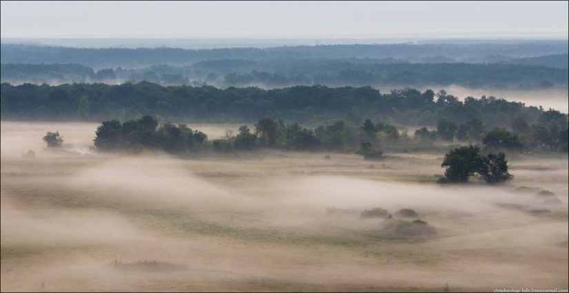 Reino de la Niebla Reino de la Niebla