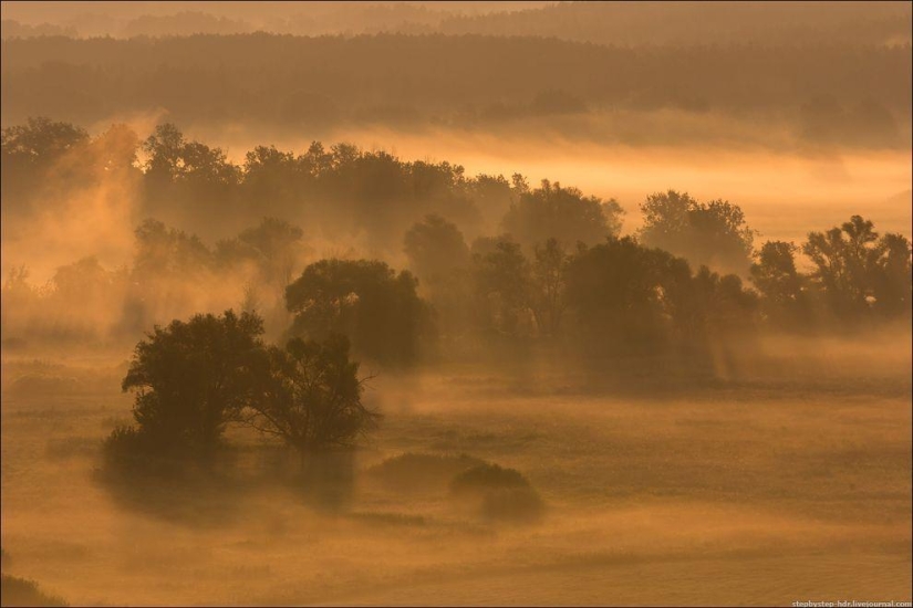 Reino de la Niebla Reino de la Niebla