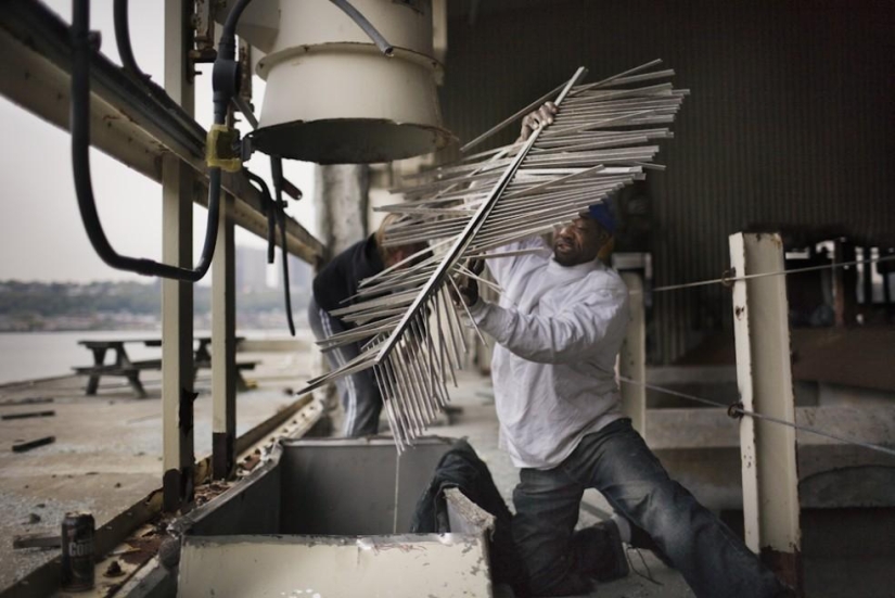 Relaciones familiares de vagabundos del metro de Nueva York