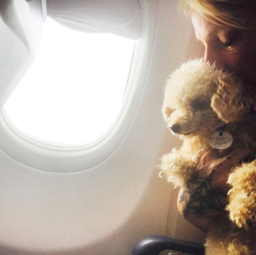 Rescate de un perro de dos patas que pasó 10 angustiosos años en la calle Rescate de un perro de dos patas que pasó 10 angustiosos años en la calle