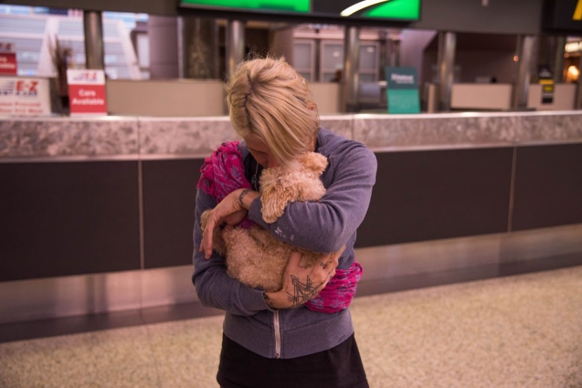 Rescue of a two-legged dog that spent 10 agonizing years on the street Rescue of a two-legged dog that spent 10 agonizing years on the street