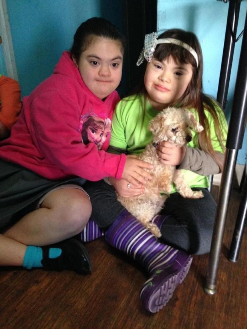 Rescue of a two-legged dog that spent 10 agonizing years on the street Rescue of a two-legged dog that spent 10 agonizing years on the street