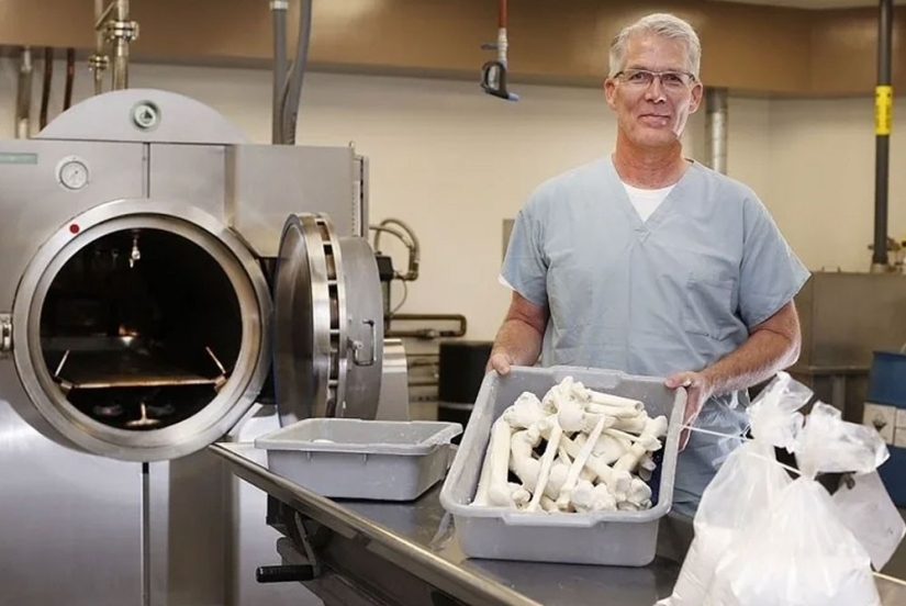 Resomación: por qué cocinan a los muertos en el Reino Unido Resomación: por qué cocinan a los muertos en el Reino Unido