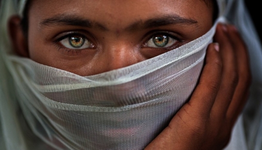 Retratos expresivos y conmovedores de perros callejeros