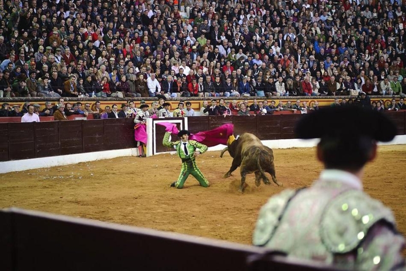 Return of the matador