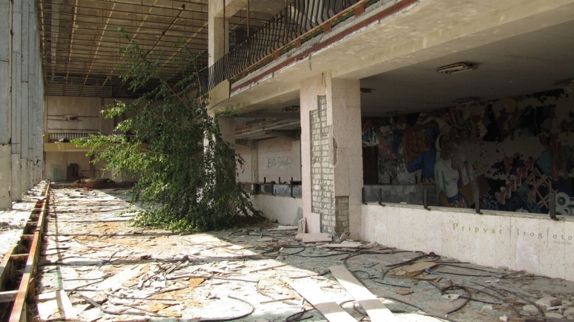 Reviviendo Chernóbil