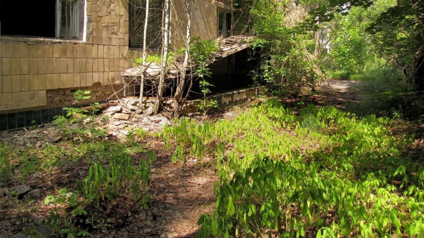 Reviviendo Chernóbil
