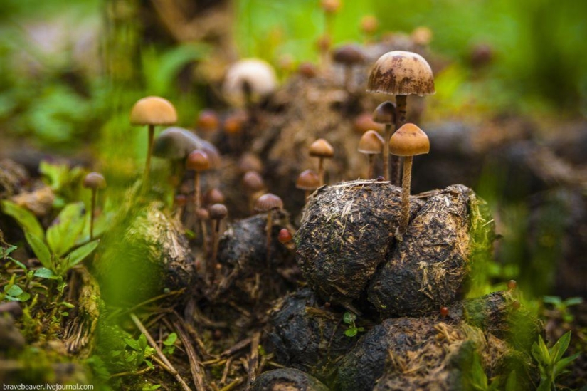 Rice terraces in Longsheng Rice terraces in Longsheng
