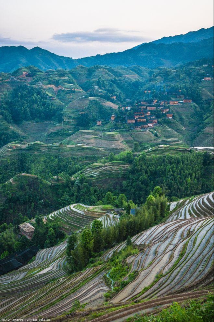 Rice terraces in Longsheng Rice terraces in Longsheng