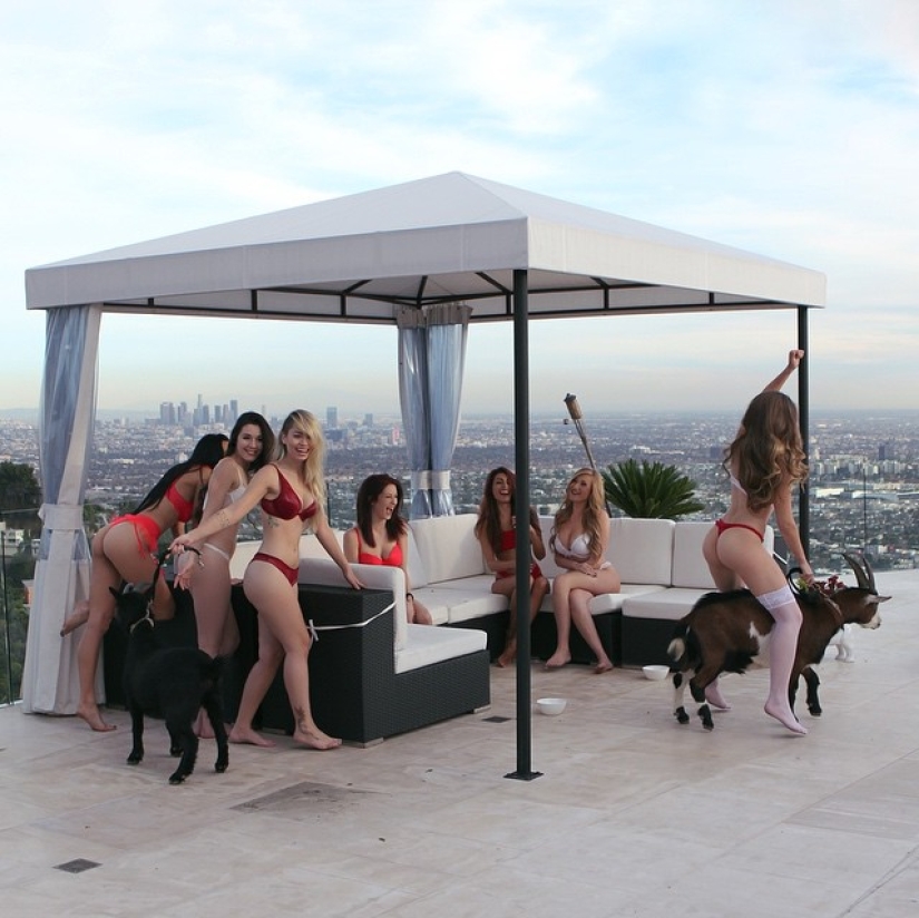 Rich Tony Tutoni: el multimillonario estadounidense se convirtió en una estrella de Instagram