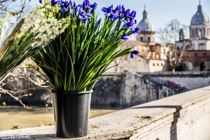 Rome. Spring Rome. Spring