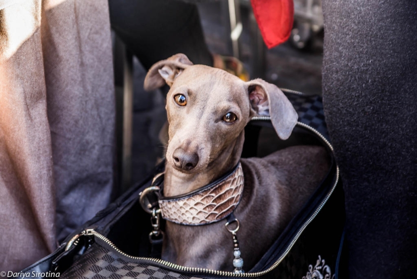 Rome. Spring Rome. Spring