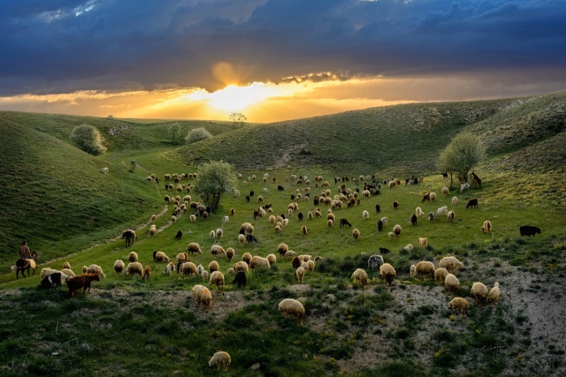 Rule of Thirds: 21 Photos with Great Composition Rule of Thirds: 21 Photos with Great Composition