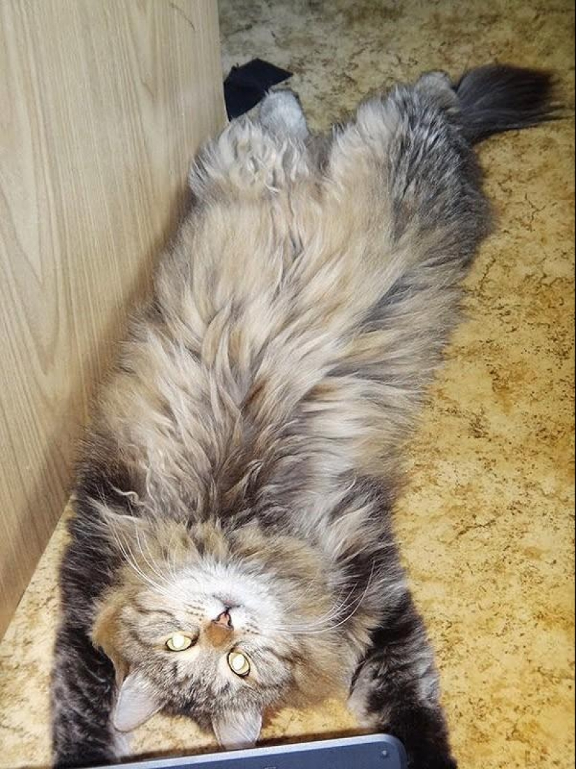 Rusia a través de los ojos de un suizo (Parte 1) Rusia a través de los ojos de un suizo (Parte 1)