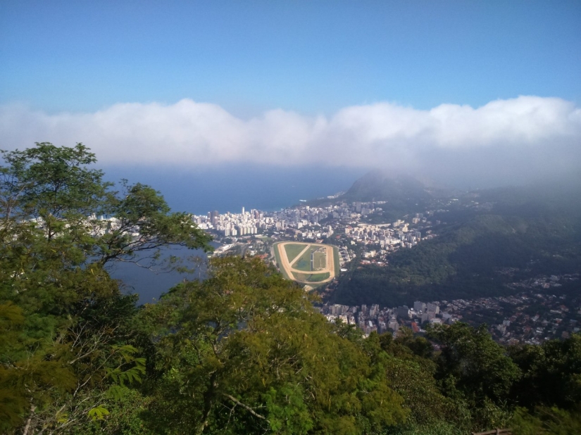 Russia won 5 gold medals at the International Physics Olympiad for the first time
